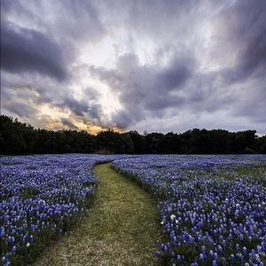 Meet your Posher, Jaque